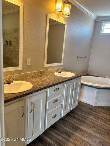 1106 N Tornillo Street, Las Cruces, NM 88001