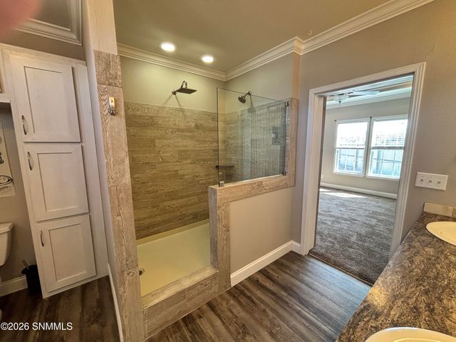 1106 N Tornillo Street, Las Cruces, NM 88001