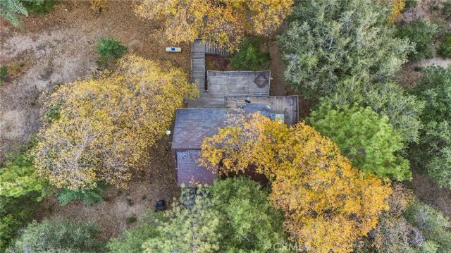 5866 Robin Oak Drive, Angelus Oaks, CA 92305