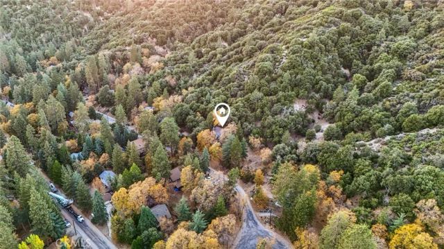5866 Robin Oak Drive, Angelus Oaks, CA 92305