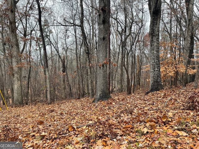 0 S Arrowhead Drive LOT 2134, Westminster, SC 29693