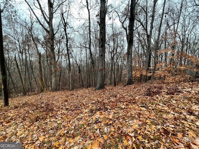 0 S Arrowhead Drive LOT 2134, Westminster, SC 29693