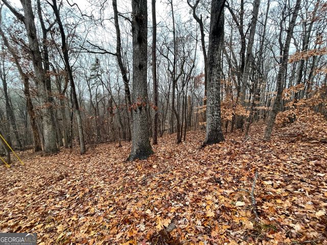 0 S Arrowhead Drive LOT 2134, Westminster, SC 29693