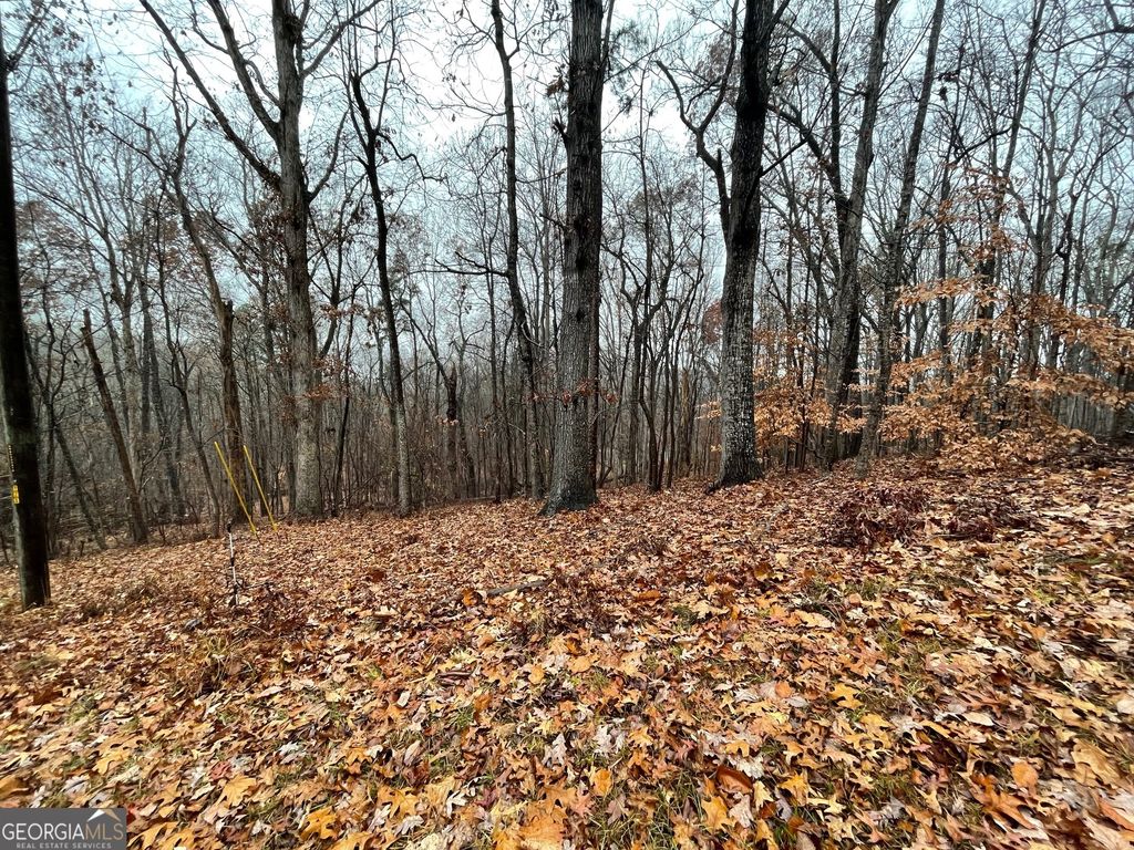 0 S Arrowhead Drive LOT 2134, Westminster, SC 29693 — photo 4