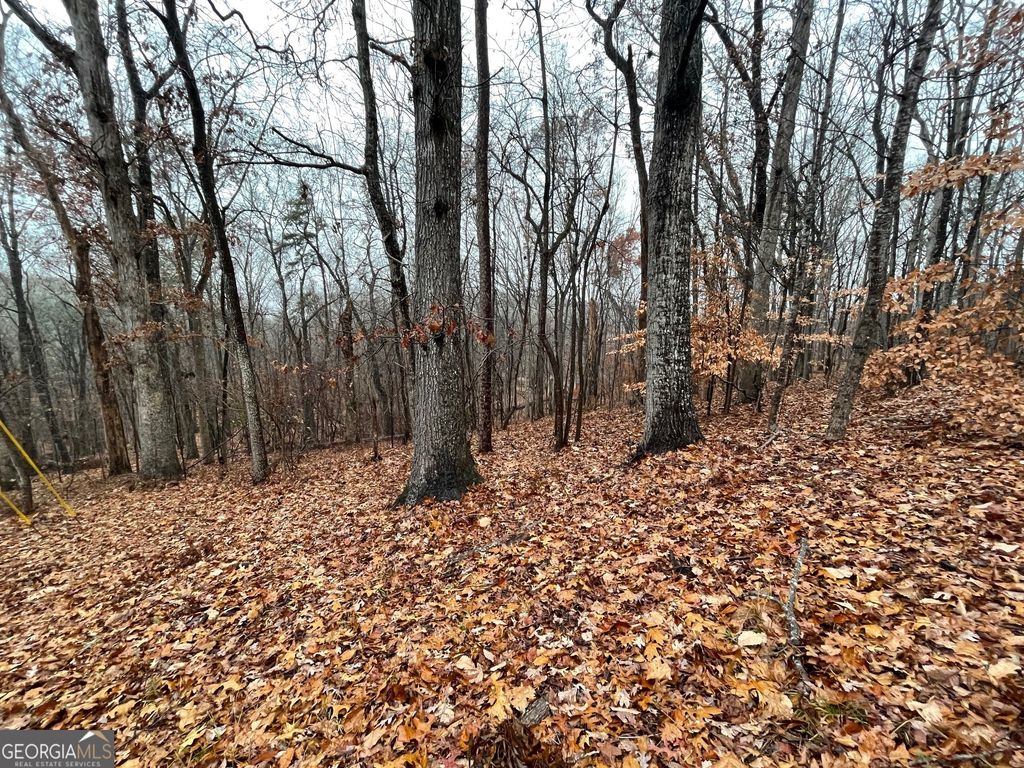 0 S Arrowhead Drive LOT 2134, Westminster, SC 29693 — photo 5