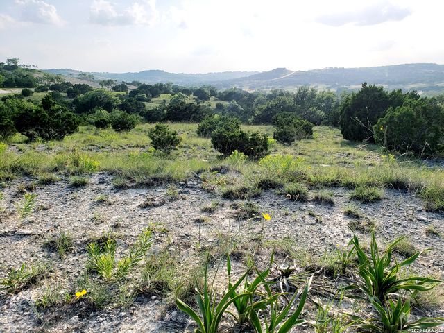 LOT 16 N Scenic Hills Ct, Blanco, TX 78606