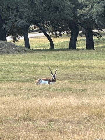 LOT 16 N Scenic Hills Ct, Blanco, TX 78606