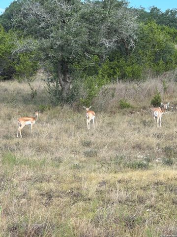 LOT 16 N Scenic Hills Ct, Blanco, TX 78606