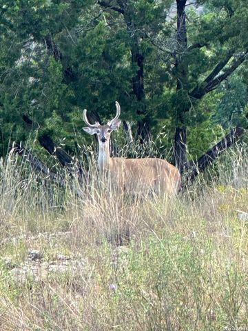 LOT 16 N Scenic Hills Ct, Blanco, TX 78606