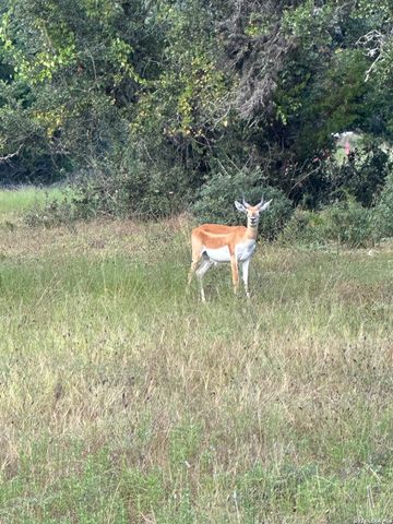 LOT 16 N Scenic Hills Ct, Blanco, TX 78606