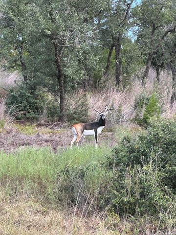 LOT 16 N Scenic Hills Ct, Blanco, TX 78606