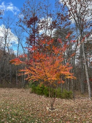 343 Highlands Forest Road, Menlo, GA 30731