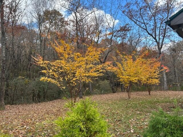 343 Highlands Forest Road, Menlo, GA 30731