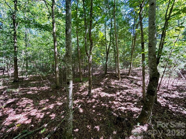 1036 W Paradise Harbor Drive, Connelly Springs, NC 28612