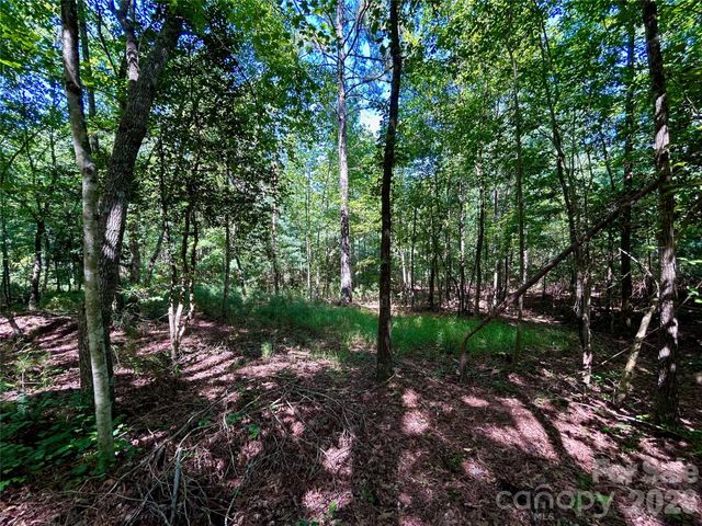 1036 W Paradise Harbor Drive, Connelly Springs, NC 28612