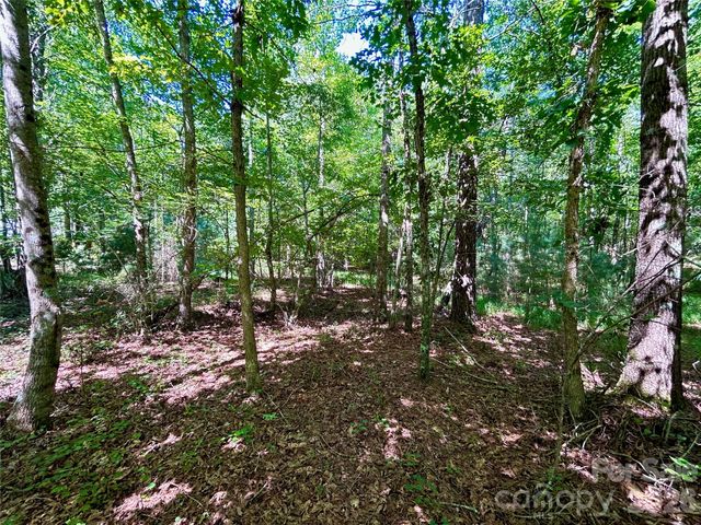 1036 W Paradise Harbor Drive, Connelly Springs, NC 28612
