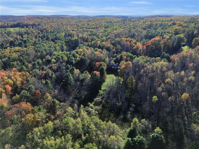 216 Oppermann Road, Butternuts, NY 13776