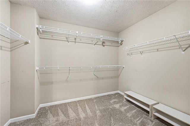 2516 Deep Wood Court, Loganville, GA 30052