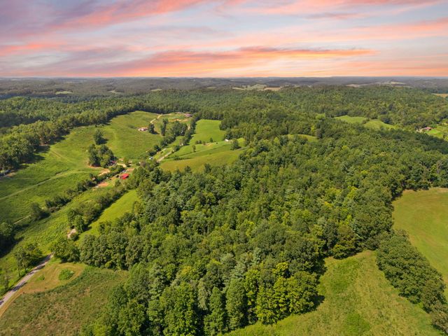 249 Sorrell Road, Wellington, KY 40387