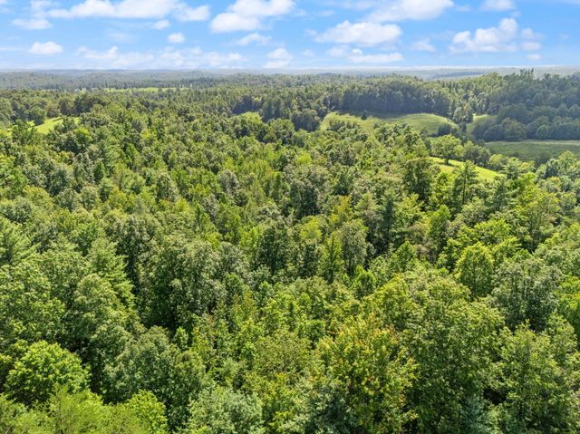 249 Sorrell Road, Wellington, KY 40387