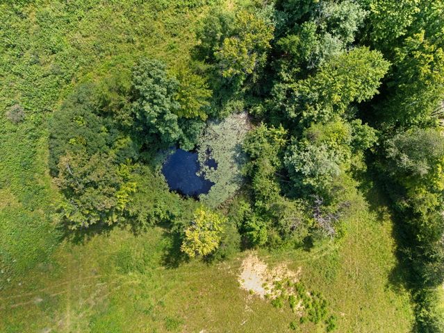 249 Sorrell Road, Wellington, KY 40387