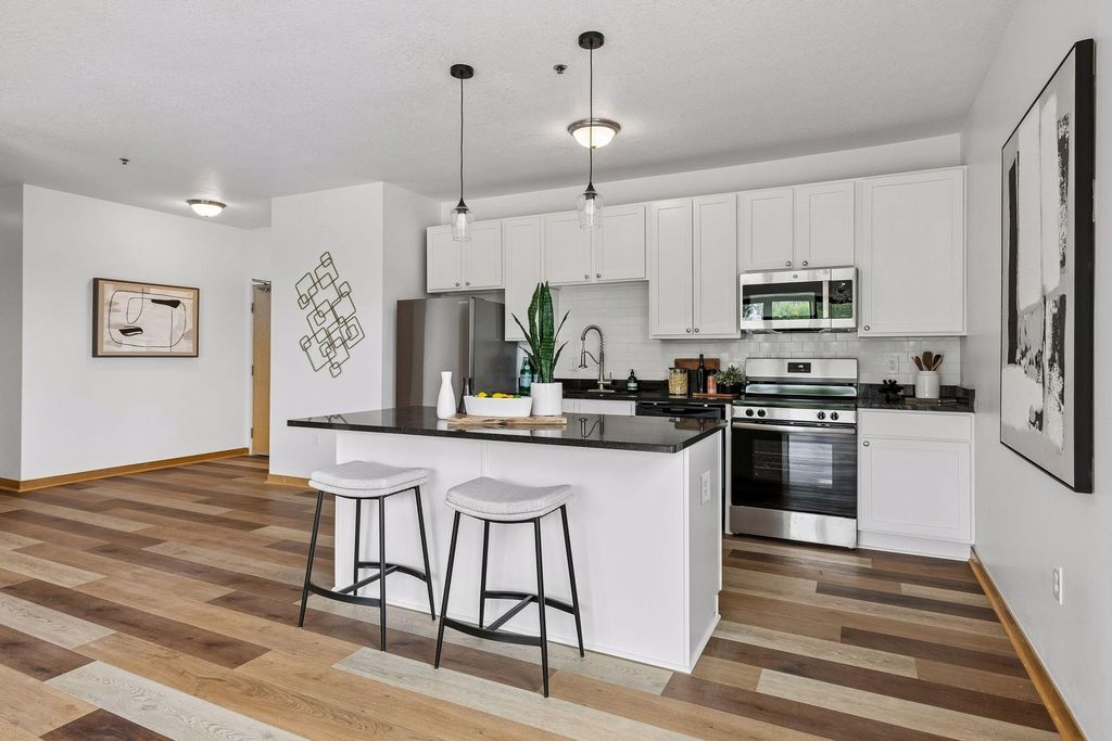 1502 5th Street N 313, Hopkins, MN 55305 — photo 5
