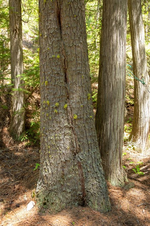 361 Grist Road, West Glacier, MT 59936 photo 28