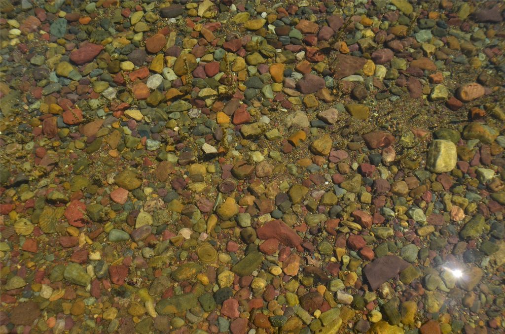 361 Grist Road, West Glacier, MT 59936 photo 38