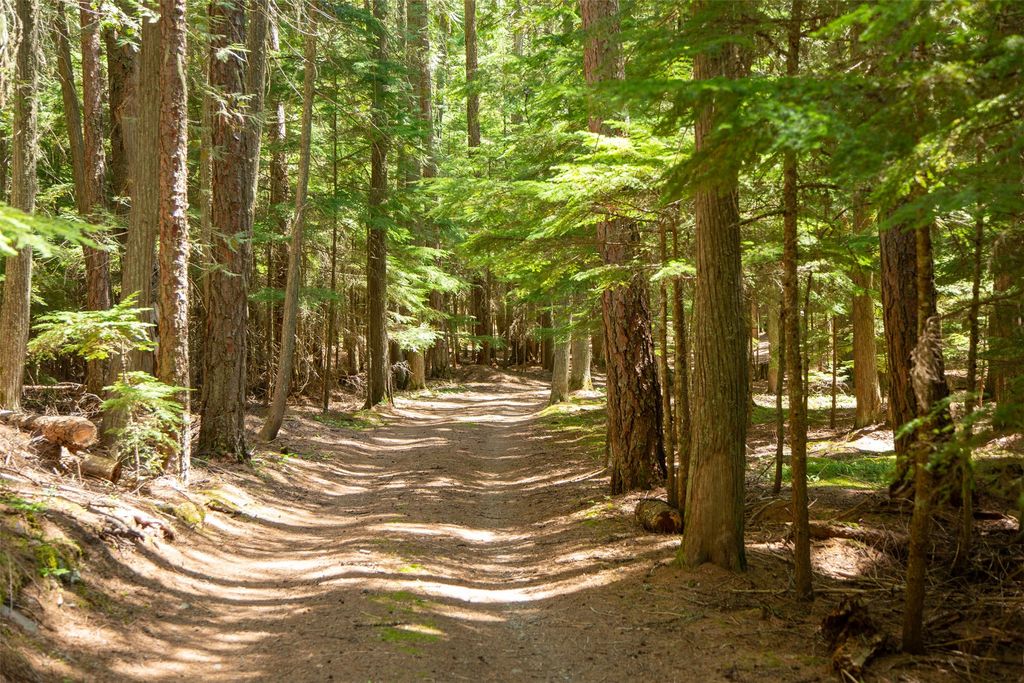 361 Grist Road, West Glacier, MT 59936 photo 7