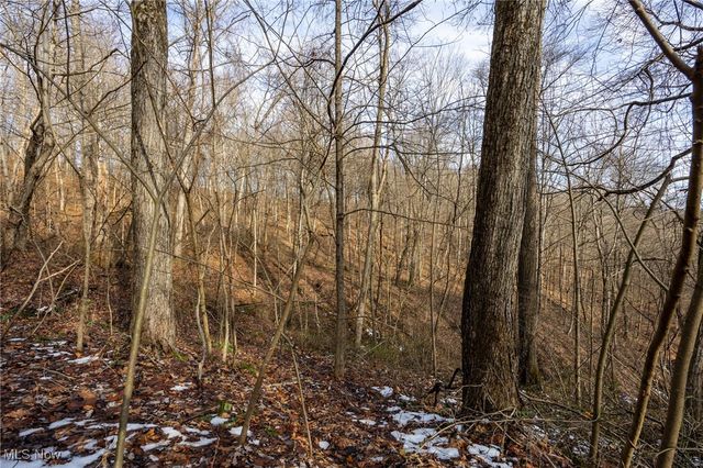 169 Kinderhook Ridge Road, Newport, OH 45768