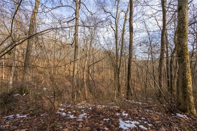 169 Kinderhook Ridge Road, Newport, OH 45768