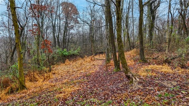 169 Kinderhook Ridge Road, Newport, OH 45768