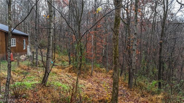 169 Kinderhook Ridge Road, Newport, OH 45768