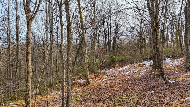 169 Kinderhook Ridge Road, Newport, OH 45768