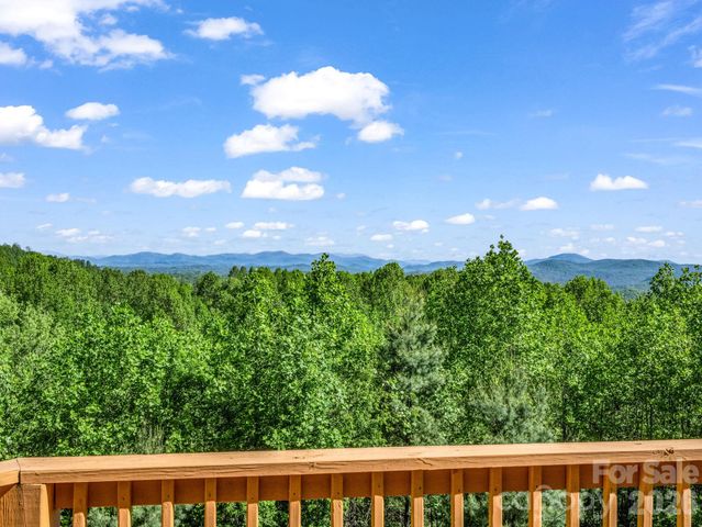 603 Pace Mountain Road, Saluda, NC 28773