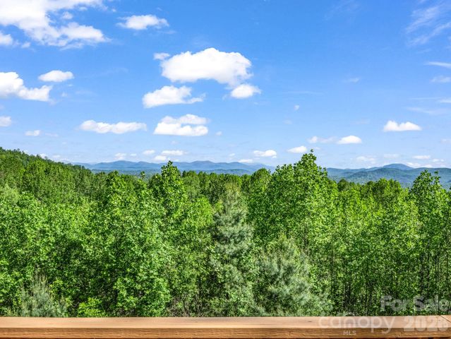 603 Pace Mountain Road, Saluda, NC 28773