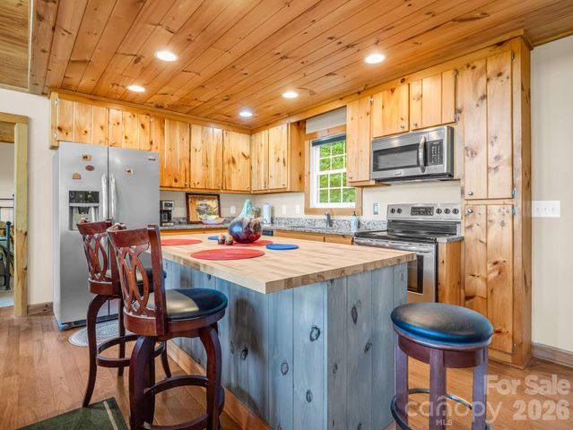 603 Pace Mountain Road, Saluda, NC 28773