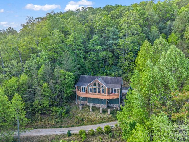 603 Pace Mountain Road, Saluda, NC 28773