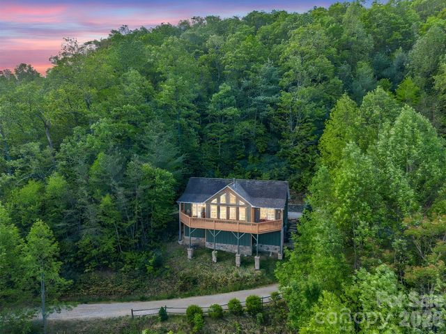 603 Pace Mountain Road, Saluda, NC 28773