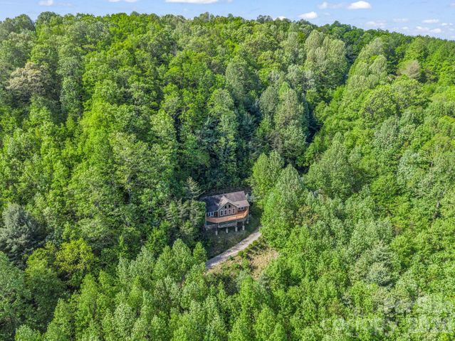 603 Pace Mountain Road, Saluda, NC 28773