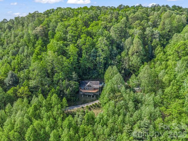 603 Pace Mountain Road, Saluda, NC 28773