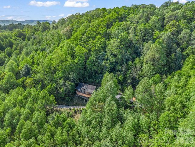 603 Pace Mountain Road, Saluda, NC 28773