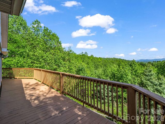 603 Pace Mountain Road, Saluda, NC 28773