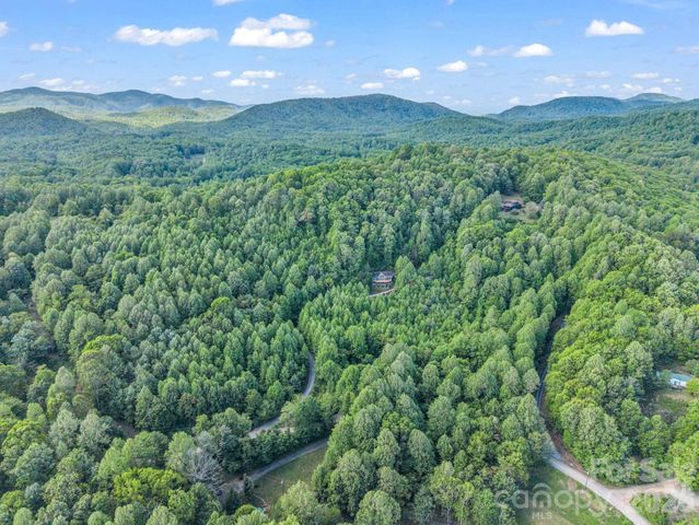 603 Pace Mountain Road, Saluda, NC 28773