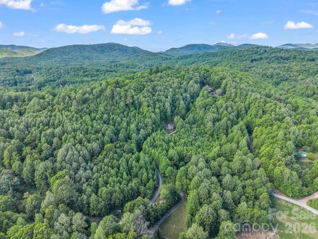603 Pace Mountain Road, Saluda, NC 28773