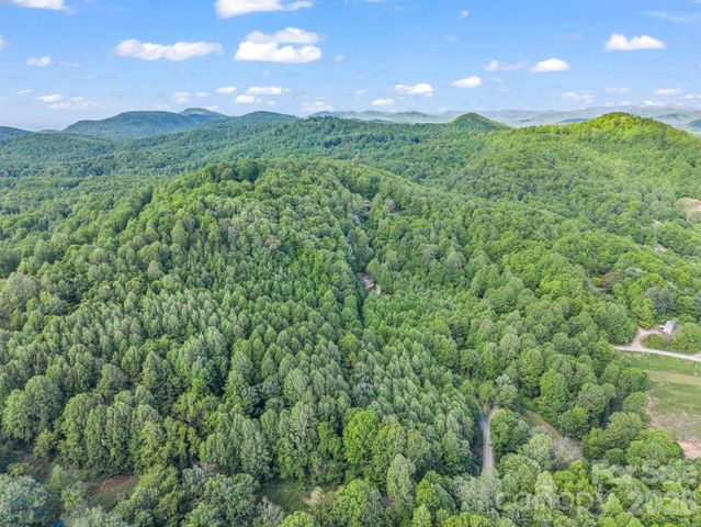 603 Pace Mountain Road, Saluda, NC 28773