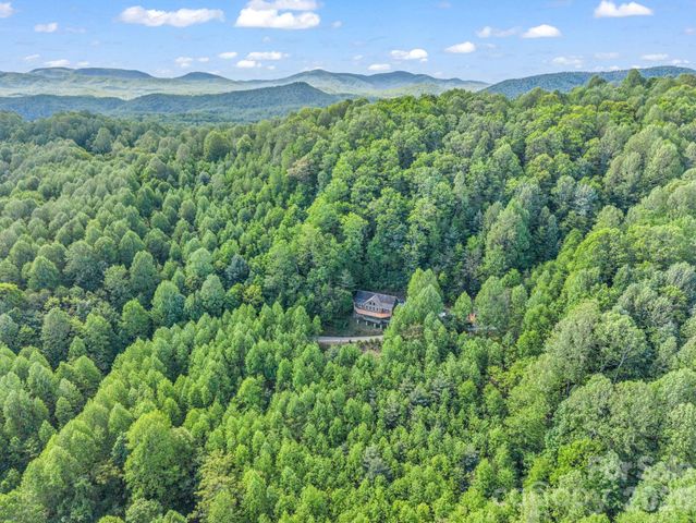 603 Pace Mountain Road, Saluda, NC 28773