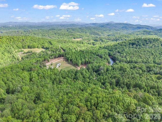 603 Pace Mountain Road, Saluda, NC 28773