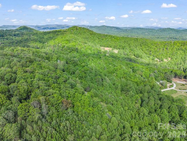 603 Pace Mountain Road, Saluda, NC 28773
