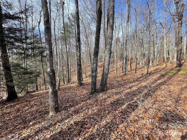 102 Knobster Way, Glenville, NC 28736